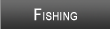 Lake DuBay Fishing